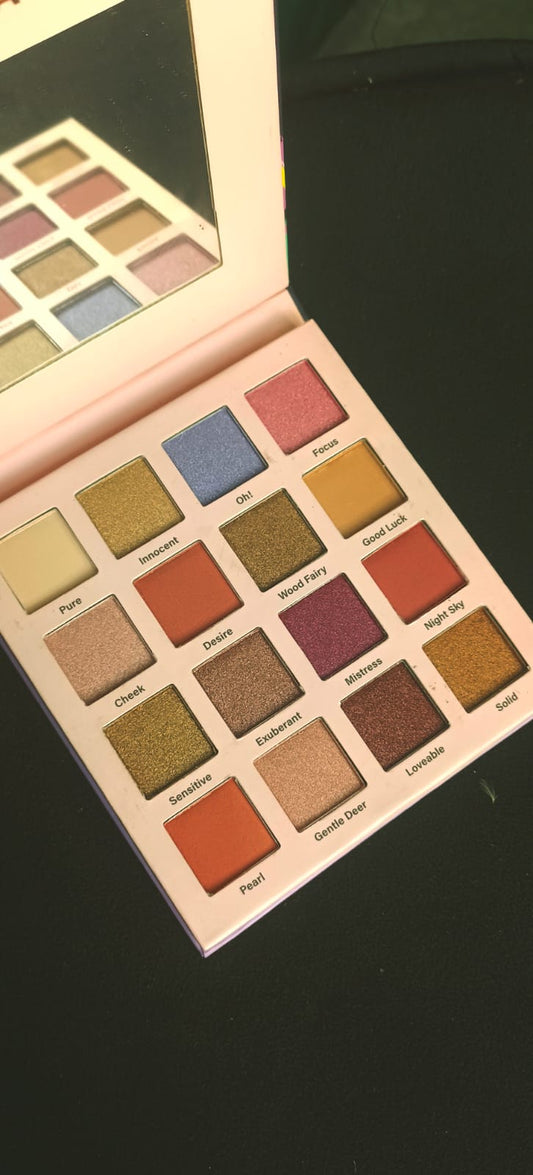 Ka Cayla 16 colour eye shadow